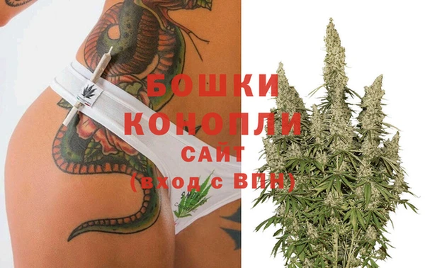 бошки Аркадак