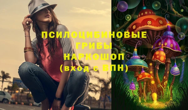 бошки Аркадак